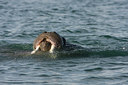 BUITEN BEELD Foto: 36318