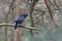 BUITEN BEELD Foto: 36324