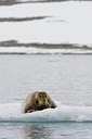 BUITEN BEELD Foto: 36326