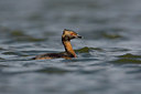 BUITEN BEELD Foto: 36343