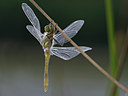 BUITEN BEELD Foto: 36376
