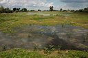 BUITEN BEELD Foto: 36387