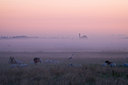 BUITEN BEELD Foto: 36417