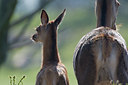 BUITEN BEELD Foto: 36422