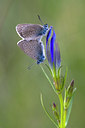 BUITEN BEELD Foto: 36469