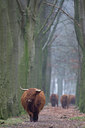 BUITEN BEELD Foto: 36648