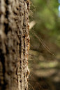 BUITEN BEELD Foto: 36652