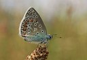 BUITEN BEELD Foto: 36738