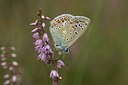 BUITEN BEELD Foto: 36739