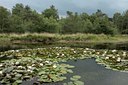 BUITEN BEELD Foto: 36740