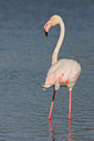 BUITEN BEELD Foto: 36765