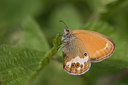 BUITEN BEELD Foto: 36879
