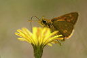 BUITEN BEELD Foto: 36909