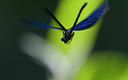 BUITEN BEELD Foto: 36930
