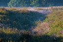 BUITEN BEELD Foto: 36955