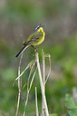 BUITEN BEELD Foto: 369452
