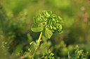 BUITEN BEELD Foto: 369771