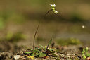 BUITEN BEELD Foto: 369786