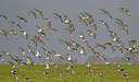 BUITEN BEELD Foto: 370403