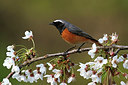 BUITEN BEELD Foto: 370598