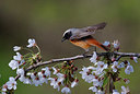 BUITEN BEELD Foto: 370599