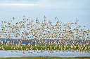 BUITEN BEELD Foto: 370698