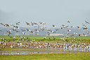 BUITEN BEELD Foto: 370705