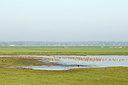 BUITEN BEELD Foto: 370706