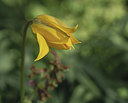 BUITEN BEELD Foto: 370742