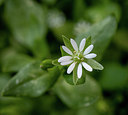 BUITEN BEELD Foto: 370934