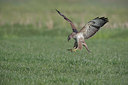 BUITEN BEELD Foto: 370944