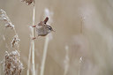 BUITEN BEELD Foto: 370956