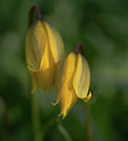 BUITEN BEELD Foto: 371023