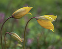 BUITEN BEELD Foto: 371024