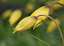 BUITEN BEELD Foto: 371026