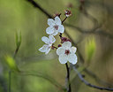 BUITEN BEELD Foto: 371356