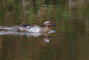 BUITEN BEELD Foto: 371528