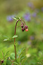 BUITEN BEELD Foto: 371554