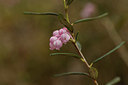 BUITEN BEELD Foto: 371559