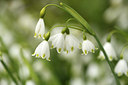 BUITEN BEELD Foto: 371566
