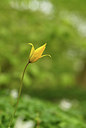 BUITEN BEELD Foto: 371577
