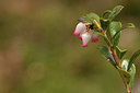 BUITEN BEELD Foto: 371578