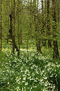 BUITEN BEELD Foto: 371583