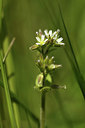 BUITEN BEELD Foto: 371633