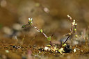 BUITEN BEELD Foto: 371638
