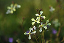 BUITEN BEELD Foto: 371649