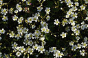 BUITEN BEELD Foto: 371650