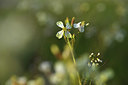 BUITEN BEELD Foto: 371655