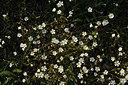 BUITEN BEELD Foto: 371657