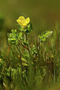 BUITEN BEELD Foto: 371666